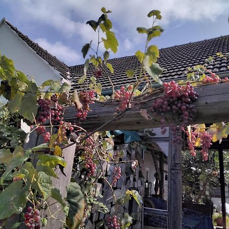Gemuetlichkeit Am Vierkanthof - Apartment 2 Vörthegy Kültér fotó