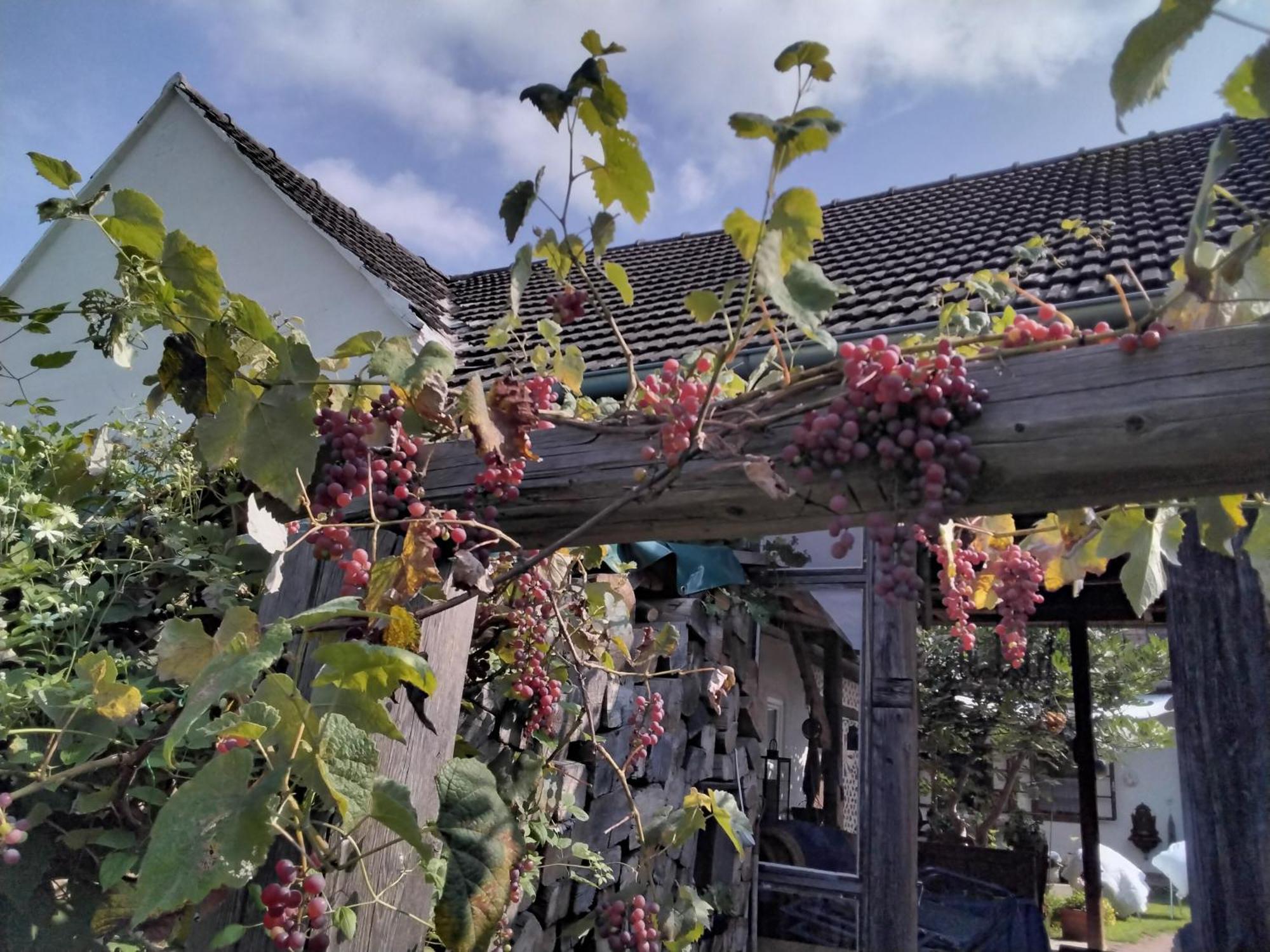 Gemuetlichkeit Am Vierkanthof - Apartment 2 Vörthegy Kültér fotó